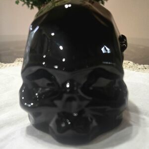 Black Skull Glass Paperweight